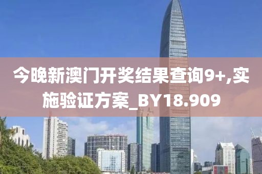 今晚新澳门开奖结果查询9+,实施验证方案_BY18.909