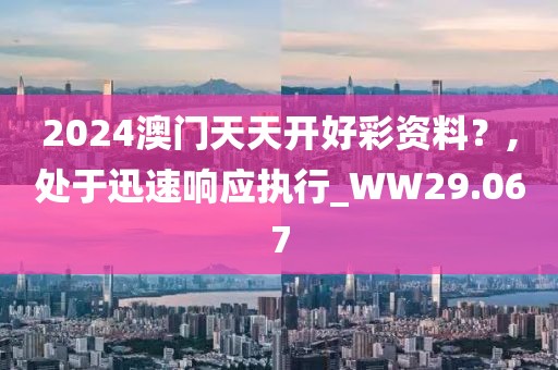 2024澳门天天开好彩资料？,处于迅速响应执行_WW29.067