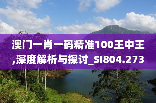 澳门一肖一码精准100王中王,深度解析与探讨_SI804.273