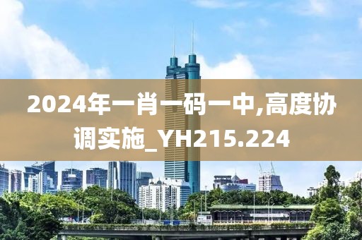 2024年一肖一码一中,高度协调实施_YH215.224