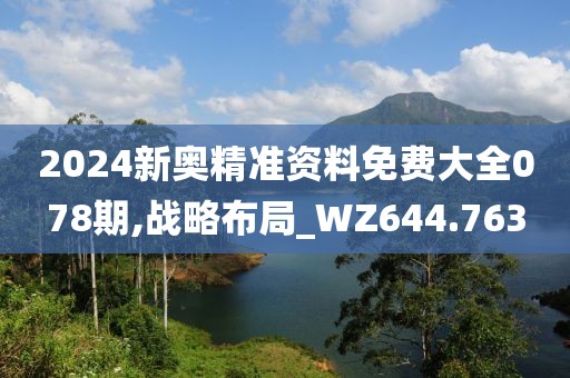 2024新奥精准资料免费大全078期,战略布局_WZ644.763