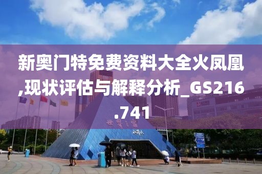 新奥门特免费资料大全火凤凰,现状评估与解释分析_GS216.741