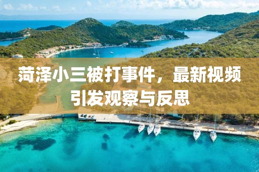 菏泽小三被打事件，最新视频引发观察与反思