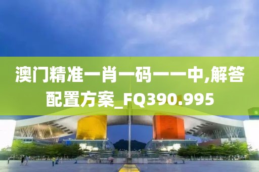 澳门精准一肖一码一一中,解答配置方案_FQ390.995