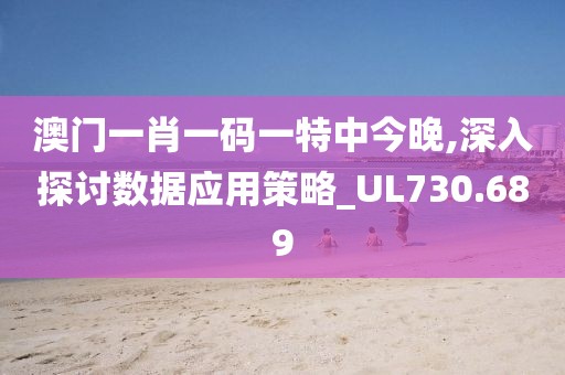 澳门一肖一码一特中今晚,深入探讨数据应用策略_UL730.689