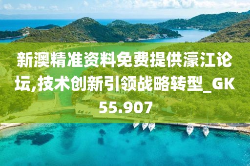 新澳精准资料免费提供濠江论坛,技术创新引领战略转型_GK55.907