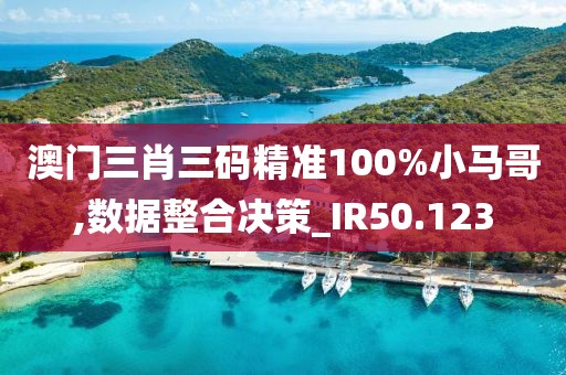 澳门三肖三码精准100%小马哥,数据整合决策_IR50.123