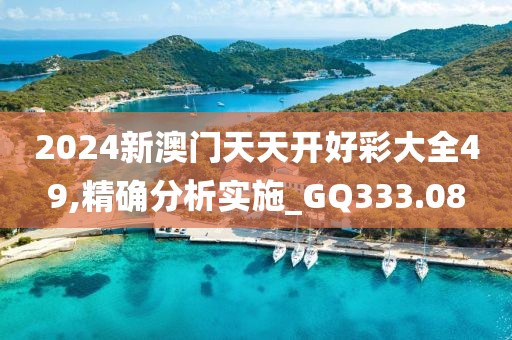 2024新澳门天天开好彩大全49,精确分析实施_GQ333.08