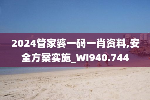 2024管家婆一码一肖资料,安全方案实施_WI940.744