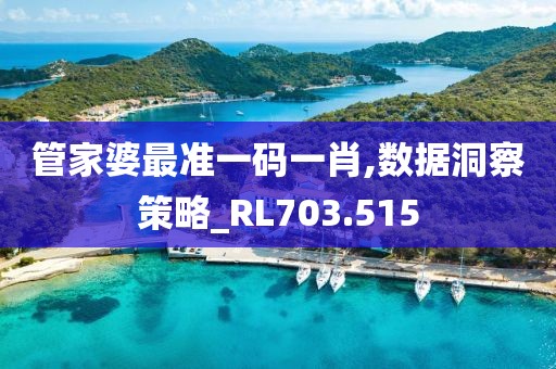 管家婆最准一码一肖,数据洞察策略_RL703.515