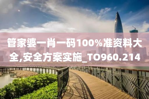 管家婆一肖一码100%准资料大全,安全方案实施_TO960.214