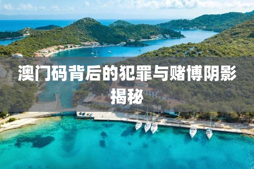澳门码背后的犯罪与赌博阴影揭秘