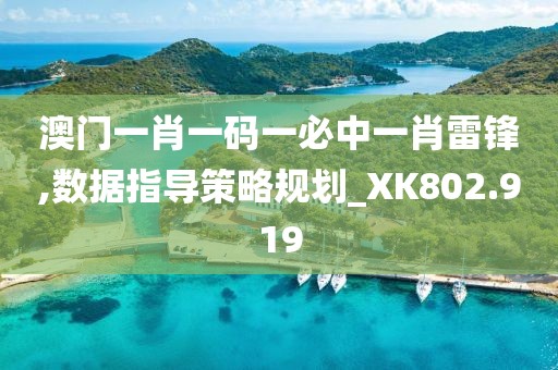澳门一肖一码一必中一肖雷锋,数据指导策略规划_XK802.919