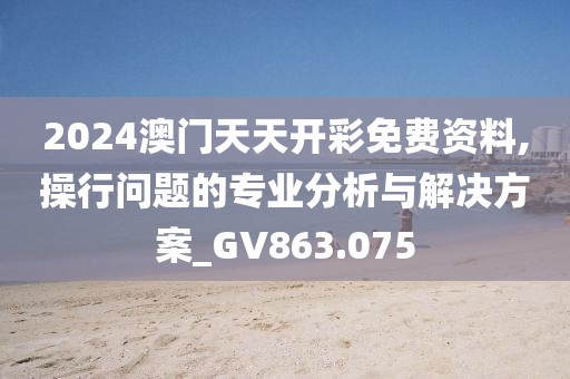 2024澳门天天开彩免费资料,操行问题的专业分析与解决方案_GV863.075
