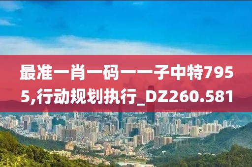 最准一肖一码一一子中特7955,行动规划执行_DZ260.581