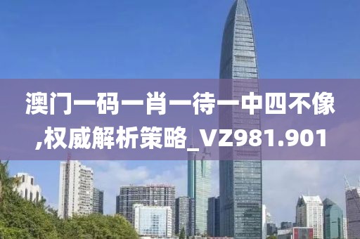 澳门一码一肖一待一中四不像,权威解析策略_VZ981.901