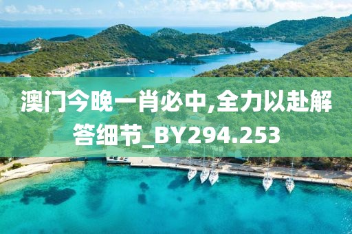 澳门今晚一肖必中,全力以赴解答细节_BY294.253