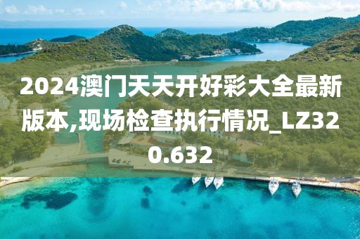2024澳门天天开好彩大全最新版本,现场检查执行情况_LZ320.632
