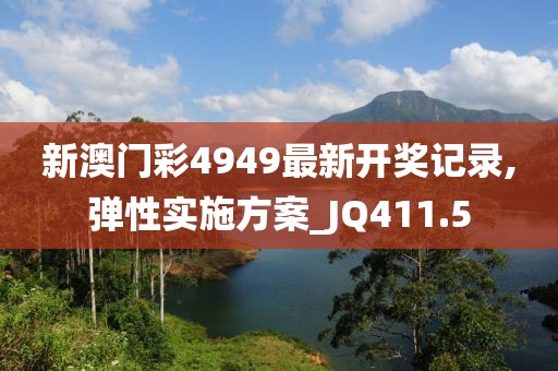 新澳门彩4949最新开奖记录,弹性实施方案_JQ411.5