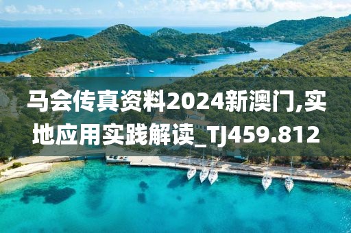 马会传真资料2024新澳门,实地应用实践解读_TJ459.812