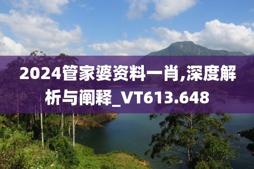 2024管家婆资料一肖,深度解析与阐释_VT613.648