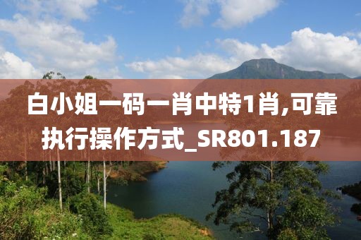 白小姐一码一肖中特1肖,可靠执行操作方式_SR801.187
