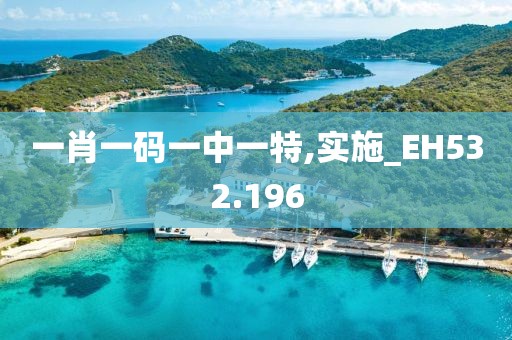 一肖一码一中一特,实施_EH532.196