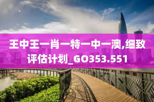 王中王一肖一特一中一澳,细致评估计划_GO353.551