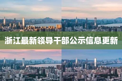 浙江最新领导干部公示信息更新