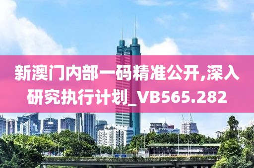 新澳门内部一码精准公开,深入研究执行计划_VB565.282
