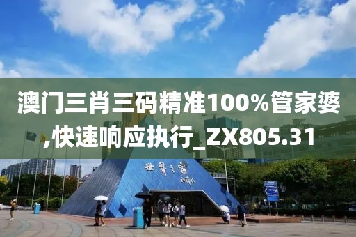 澳门三肖三码精准100%管家婆,快速响应执行_ZX805.31