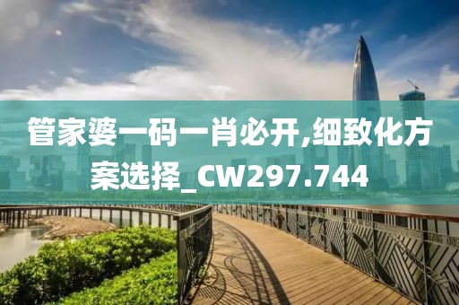 管家婆一码一肖必开,细致化方案选择_CW297.744