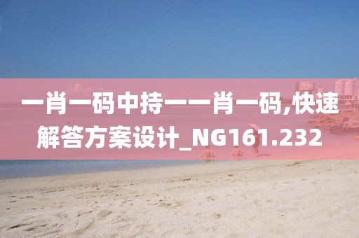 一肖一码中持一一肖一码,快速解答方案设计_NG161.232