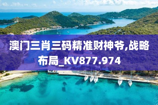 澳门三肖三码精准财神爷,战略布局_KV877.974