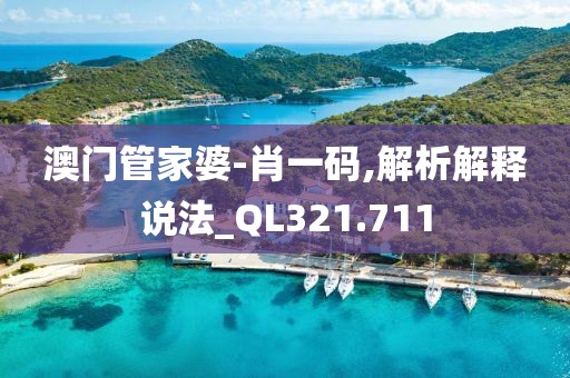 澳门管家婆-肖一码,解析解释说法_QL321.711