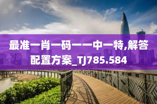 最准一肖一码一一中一特,解答配置方案_TJ785.584