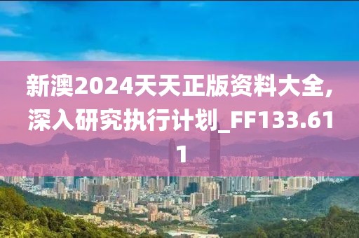 新澳2024天天正版资料大全,深入研究执行计划_FF133.611