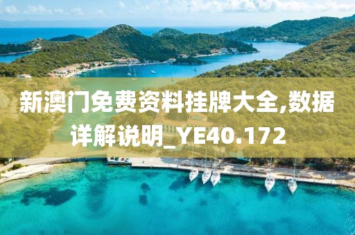 新澳门免费资料挂牌大全,数据详解说明_YE40.172