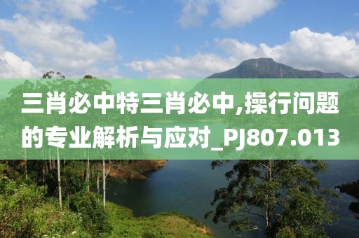 三肖必中特三肖必中,操行问题的专业解析与应对_PJ807.013