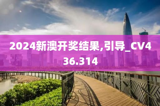 2024新澳开奖结果,引导_CV436.314