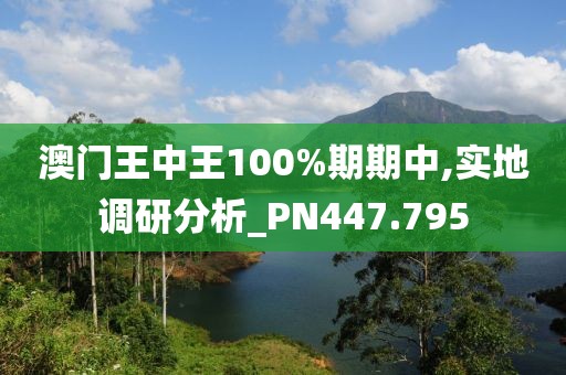 澳门王中王100%期期中,实地调研分析_PN447.795
