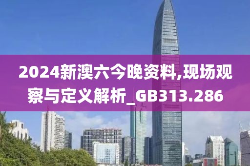 2024新澳六今晚资料,现场观察与定义解析_GB313.286