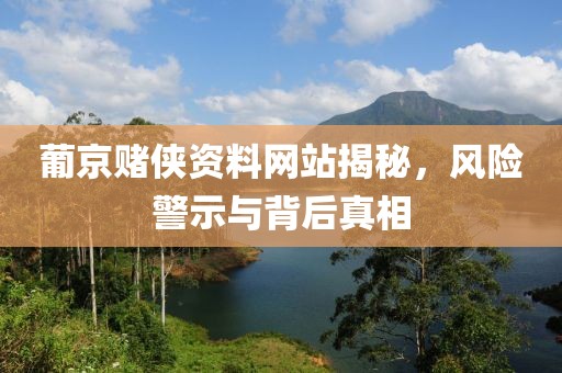 葡京赌侠资料网站揭秘，风险警示与背后真相
