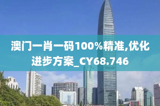 澳门一肖一码100%精准,优化进步方案_CY68.746