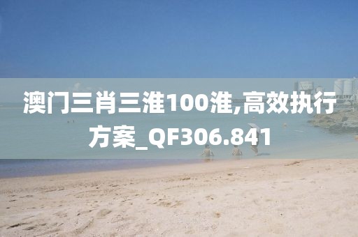 澳门三肖三淮100淮,高效执行方案_QF306.841