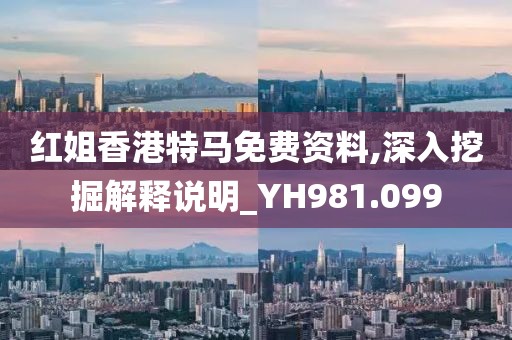 红姐香港特马免费资料,深入挖掘解释说明_YH981.099