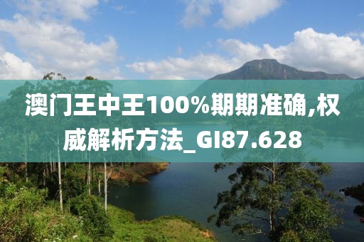 澳门王中王100%期期准确,权威解析方法_GI87.628