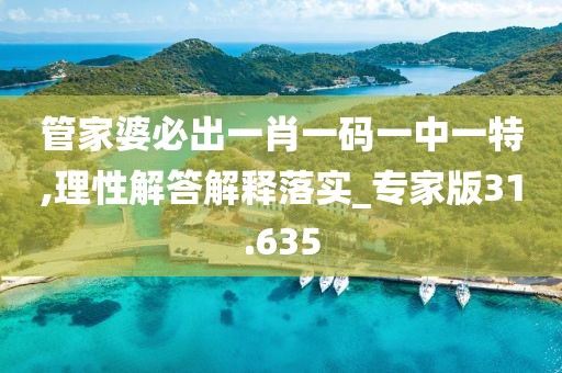 管家婆必出一肖一码一中一特,理性解答解释落实_专家版31.635