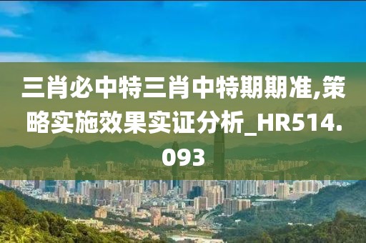 三肖必中特三肖中特期期准,策略实施效果实证分析_HR514.093