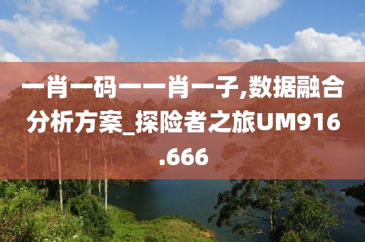 一肖一码一一肖一子,数据融合分析方案_探险者之旅UM916.666